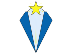 National & International School Logo - c-18.png